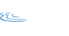 Matt Wright, Agent